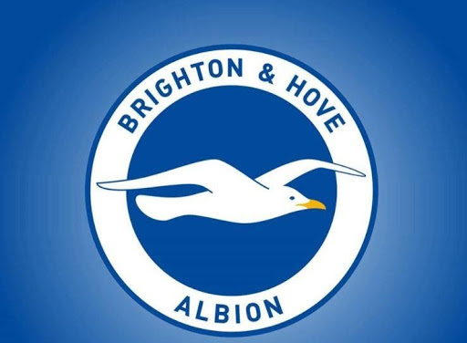 Brighton & Hove Albion- Sự Hiện Diện Của thần thế Mới Tại ngoại hạng Anh